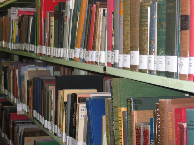 Chiusura delle Biblioteche Civiche fino al 3 dicembre
